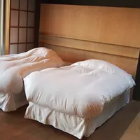 源泉と離れのお宿・月の写真・動画_image_10150
