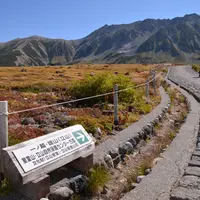 室堂平の写真・動画_image_10201