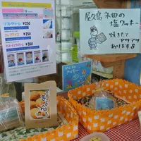 まむずきっちんキーミーハウスの写真・動画_image_10261