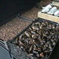 馬場水産の写真・動画_image_10263