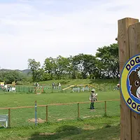 マザー牧場の写真・動画_image_10312