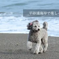 わん楽の写真・動画_image_10339