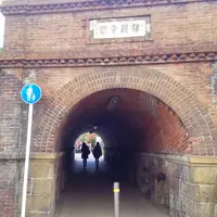 ねじりまんぽの写真・動画_image_104032