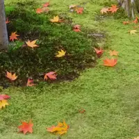 無鄰菴庭園の写真・動画_image_104091