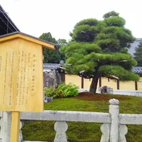 金戒光明寺の写真・動画_image_104126