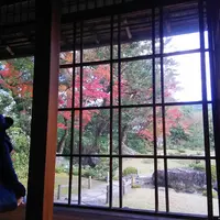 無鄰菴庭園の写真・動画_image_104147