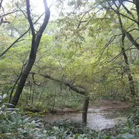 上高地の写真・動画_image_104181