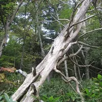 上高地の写真・動画_image_104182