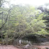 上高地の写真・動画_image_104184