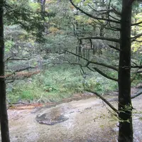 上高地の写真・動画_image_104186