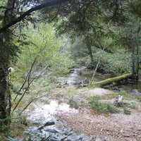上高地の写真・動画_image_104187