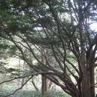 上高地の写真・動画_image_104190