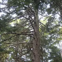 上高地の写真・動画_image_104191