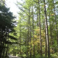 上高地の写真・動画_image_104316