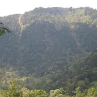 上高地の写真・動画_image_104321