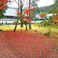 南禅寺の写真・動画_image_104393