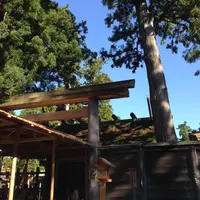 伊勢神宮外宮（豊受大神宮）の写真・動画_image_10597