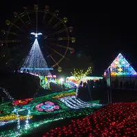 東京ドイツ村の写真・動画_image_106001