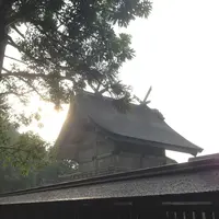 出雲大社の写真・動画_image_10613