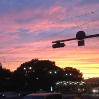 広島市の写真・動画_image_10649