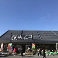 道の駅 ローズマリー公園の写真・動画_image_106971