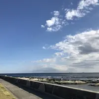 道の駅 ちくら・潮風王国の写真・動画_image_106975
