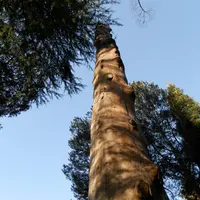 諏訪大社下社秋宮の写真・動画_image_107442