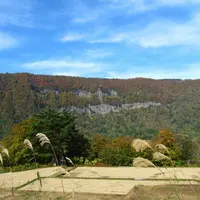 東秋山林道の写真・動画_image_10753