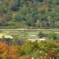 東秋山林道の写真・動画_image_10754