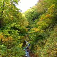東秋山林道の写真・動画_image_10761