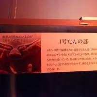 鳥羽水族館の写真・動画_image_10768