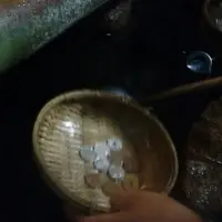 銭洗弁財天 宇賀福神社の写真・動画_image_108074