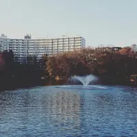 井の頭恩賜公園の写真・動画_image_108389