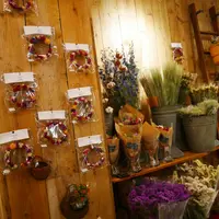 [閉店]mumokuteki cefe&foods 三条店の写真・動画_image_109560