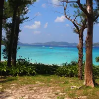 渡嘉志久ビーチの写真・動画_image_11033
