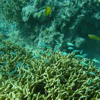 阿波連ビーチの写真・動画_image_11038