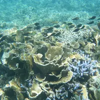 渡嘉志久ビーチの写真・動画_image_11040