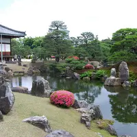 元離宮 二条城の写真・動画_image_1108