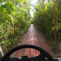 ナゴパイナップルパークの写真・動画_image_11099