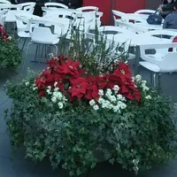 六本木ヒルズの写真・動画_image_111314