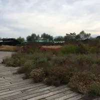 十勝千年の森の写真・動画_image_11161