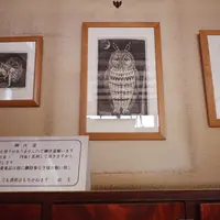 藤の湯　用賀の写真・動画_image_11234