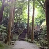 東慶寺の写真・動画_image_11260