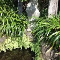 海蔵寺の写真・動画_image_11275