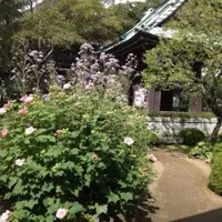 海蔵寺の写真・動画_image_11277