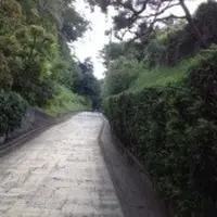 亀ヶ谷坂切通しの写真・動画_image_11287