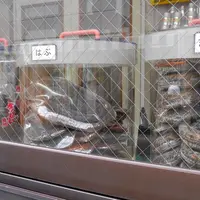 史跡：へび屋さんの写真・動画_image_11301