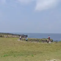 万座毛の写真・動画_image_11362