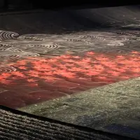 高台寺の写真・動画_image_11389