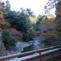 西明寺の写真・動画_image_11414